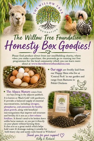 A flyer advertising the Willow Tree Foundation.