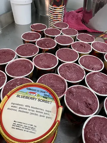A container of blueberry sorbet.