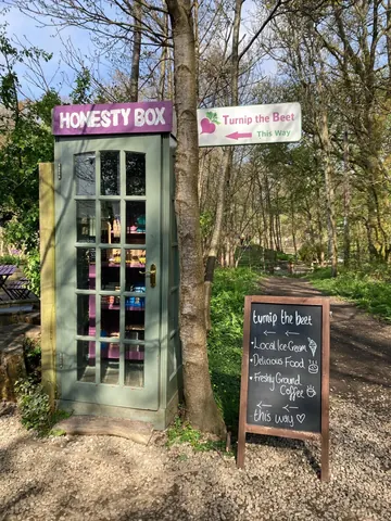 A green box with a sign on it that says "honesty box".