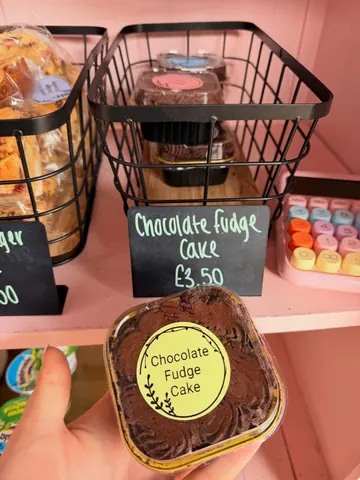 A person is holding a chocolate fudge cake.