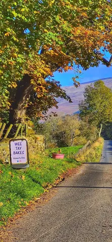 A sign on a tree that says "wee bakes".