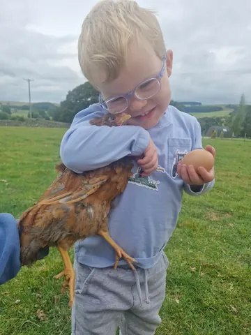 A young boy is holding a chicken in his arms.